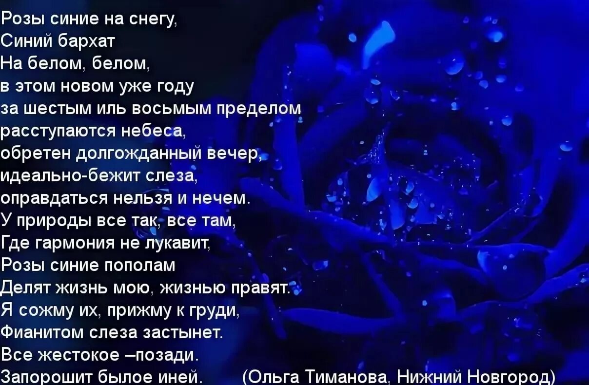 Прошу синими. Стихи про синие розы. Синий стихотворение. Стих про синий цвет. Стихи со словом голубой.