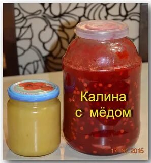 Калина на зиму заготовки с медом