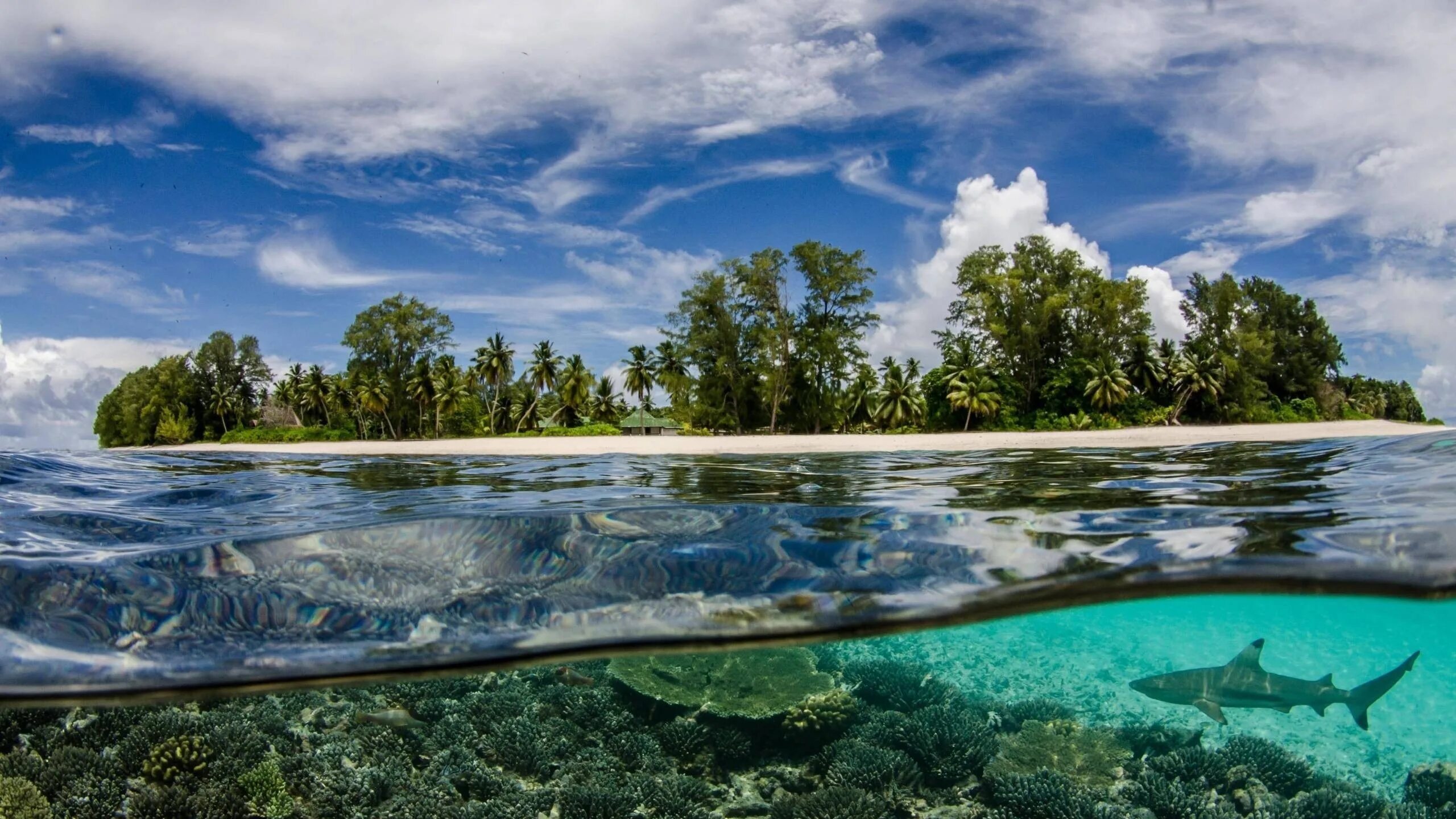 Бирюзовая Лагуна Мальдивы. Морской заповедник Саут-Уотер-Кей,. Прозрачное море. Прозрачная вода.