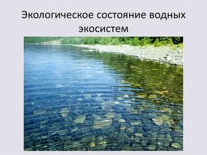 Каков климат вблизи больших водоемов