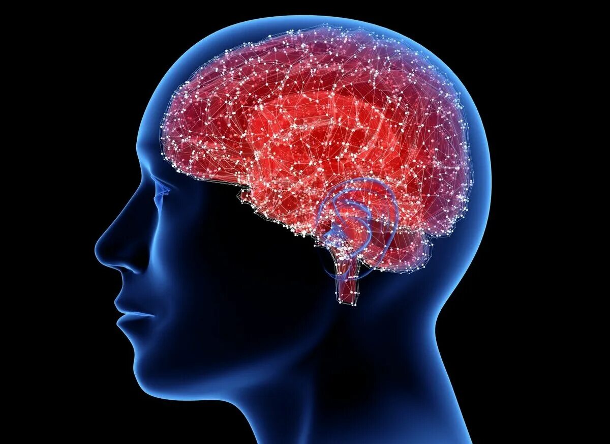 Мозг человека состоит из нейронов. Нейроны в голове. Мозг человека Нейроны. Нейронные связи мозга человека.