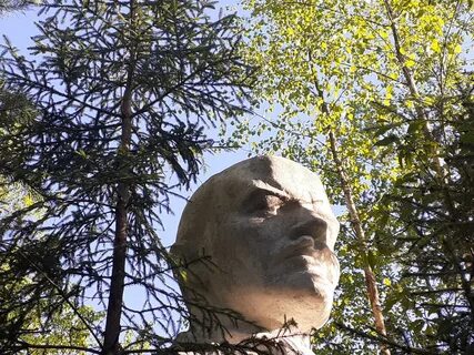 Токсово гагарина 22 лесничество