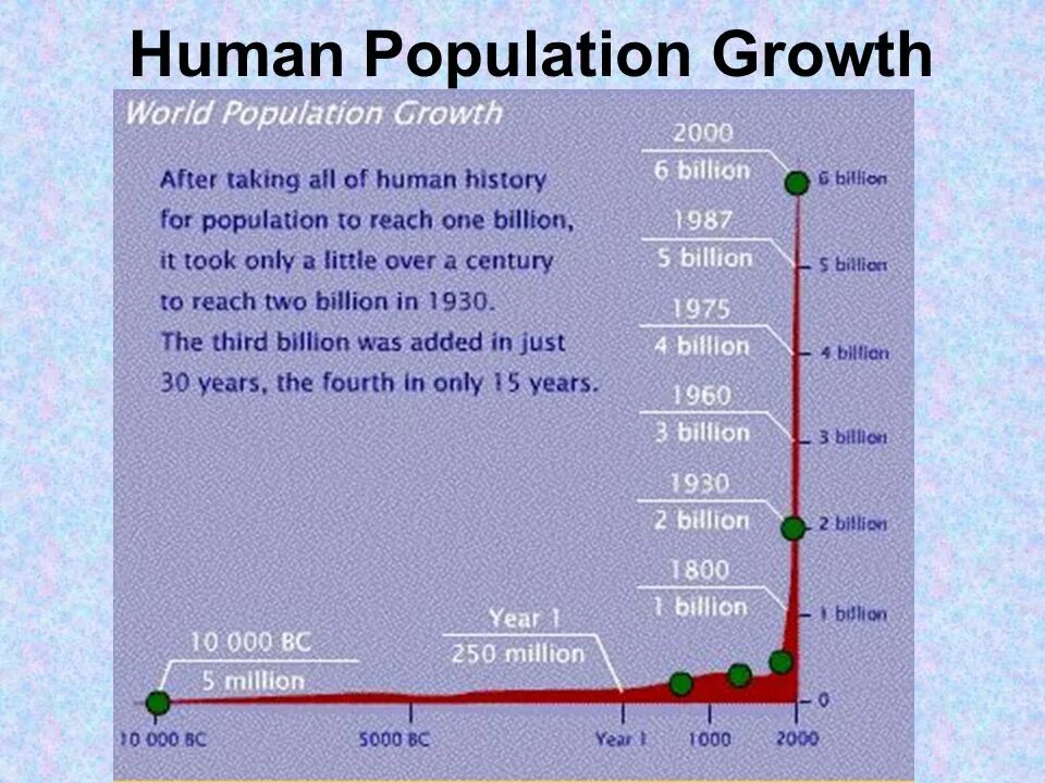 Human population. Population Balance. Population growth of Xorezm over the years. World's population at 8 billion.