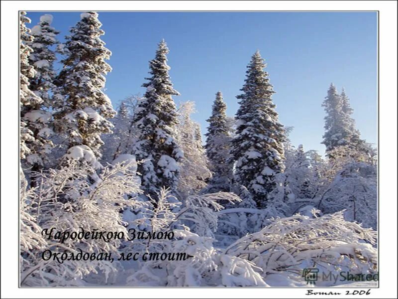 околдован. околдован лес стоит и под снежной бахромою. чародейкою зимою околдован лес. какой зимою околдован лес. федор тютчев чародейкою зимою.