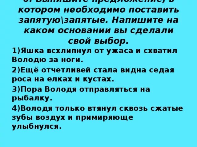 Предложения про выборы. На каком основании вы сделали свой выбор. Напишите на каком основании сделали свой выбор. Напишите на каком основании вы сделали свой выбор запятая. Напишите на каком основании вы сделали свой выбор 5 класс.