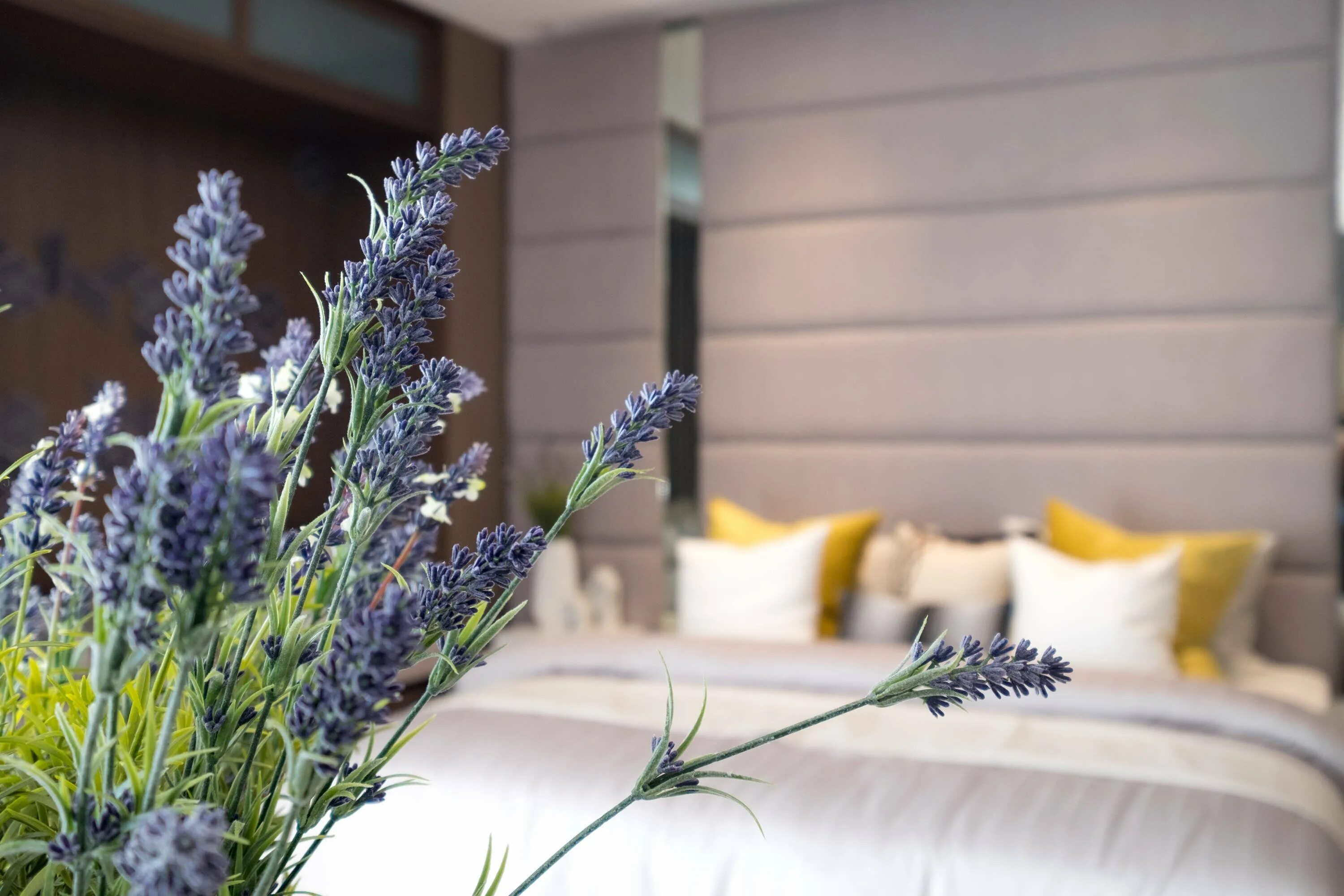 Хлорофилл зеленый. Пигменты листьев зеленых растений. Пигмент зелёный. Хлорофилл в растениях. Зеленый пигмент листьев называется.