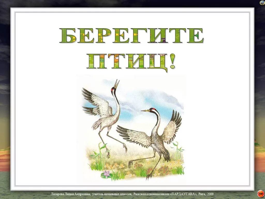 Берегите птиц. Берегите птиц презентация. Надпись берегите птиц.