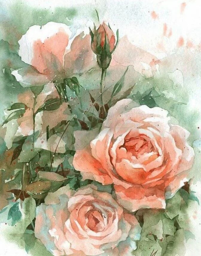 Акварельные розы. Цветы рисунок акварелью.