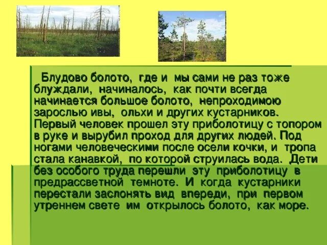 Блудовом болоте. Блудово болото пришвин. Блудово болото где. Блудово болото кладовая солнца. Кладовая солнца сочинение 6