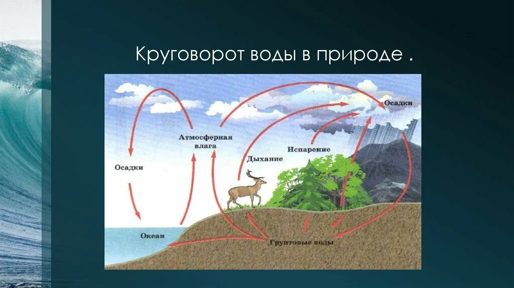 Фф круговорот. Биосферные круговороты воды. Круговорот воды в природе. Круговорот воды в природе схема. Кругооборот воды в природе.