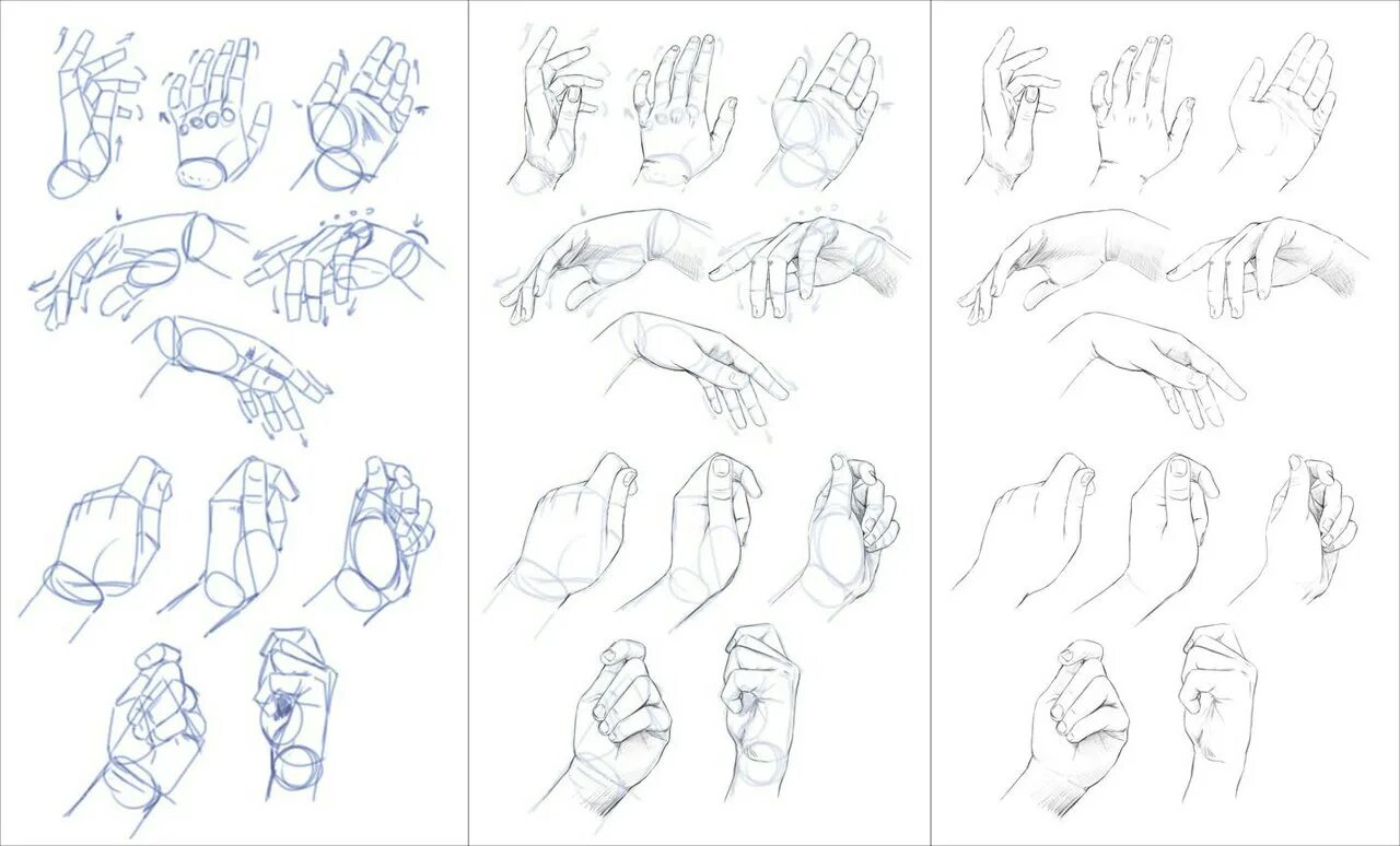 Уроки рисования рук. Поэтапное рисование рук. Этапы рисования рук. Схема рисования кисти.
