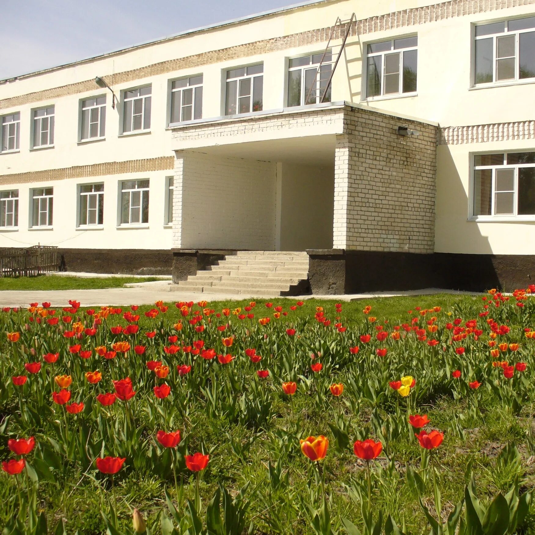 Село Талица Советский район Алтайский край. Алтайский край Талицкая школа. Алтайский край Советский район Урожайненская школа. Сайт МБОУ Урожайненская СОШ советского района Алтайского края. Школа советская 22