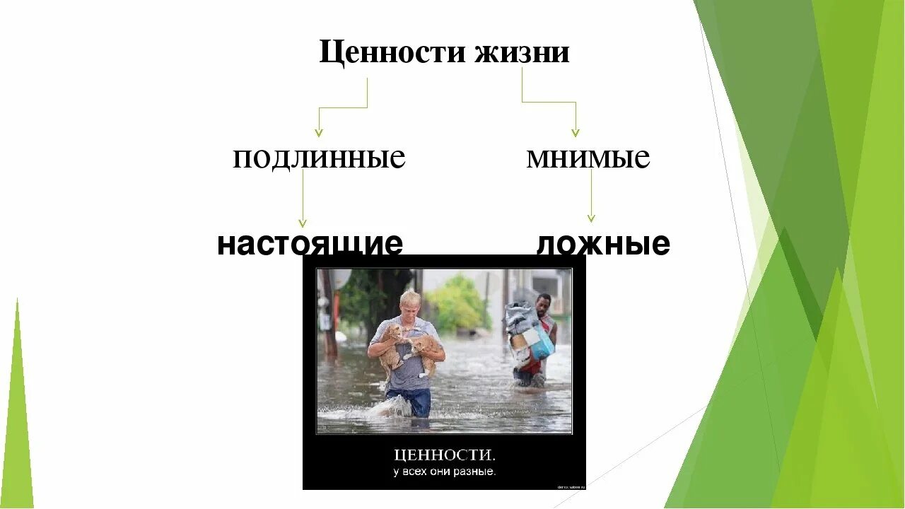 Ценности в жизни. Ценности в жизни человека. Истинные и мнимые ценности жизни. Что такое мнимые жизненные ценности. Жизненные ценности носов