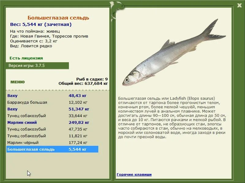 Ханна баррон нудлинг. К чему снится ловля рыбы толкование. Девушка с рыбой. К чему снится ловить руками рыбу женщине. Девушка рыбачит.