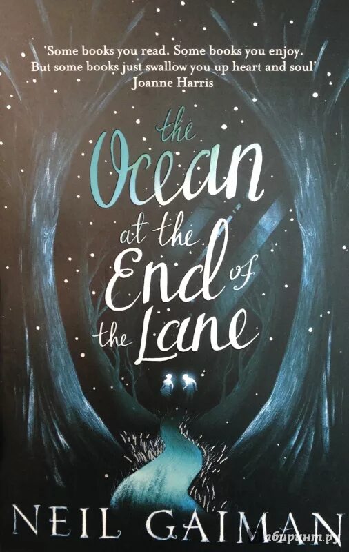 The end of the ocean. The ocean at the end of the lane by neil gaiman.