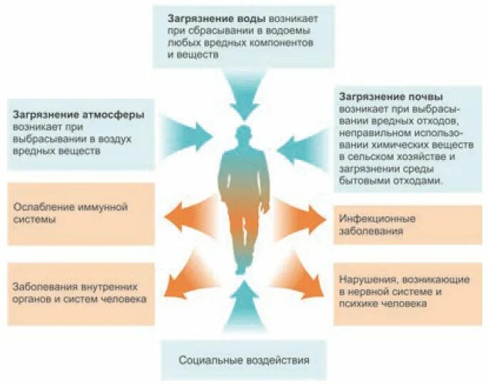 Пестициды влияние на человека. Пестициды влияние на организм. Влияние пестицидов на организм человека. Влияние пестицидов на окружающую среду. Пестициды влияние на организм человека картинки.