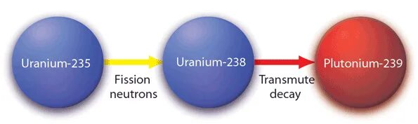 Ядро урана 239. Уран 235 и плутоний 239. Уран 238 в плутоний 239. Изотоп плутония 239. Ядро плутония 239.