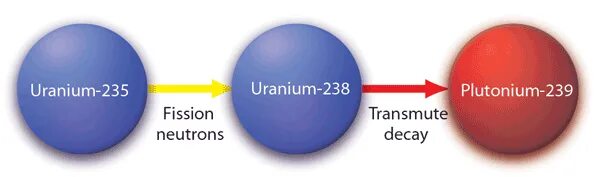 Уран элемент 235. Уран 235 и плутоний 239. Уран 238 в плутоний 239. Изотоп плутония 239. Ядро плутония 239.