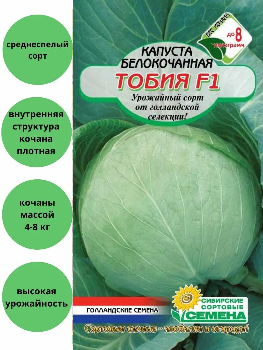 Капуста сахарное сердце описание. Семена капусты. Семена капусты белокочанной. Капуста f1. Капуста Тобио.