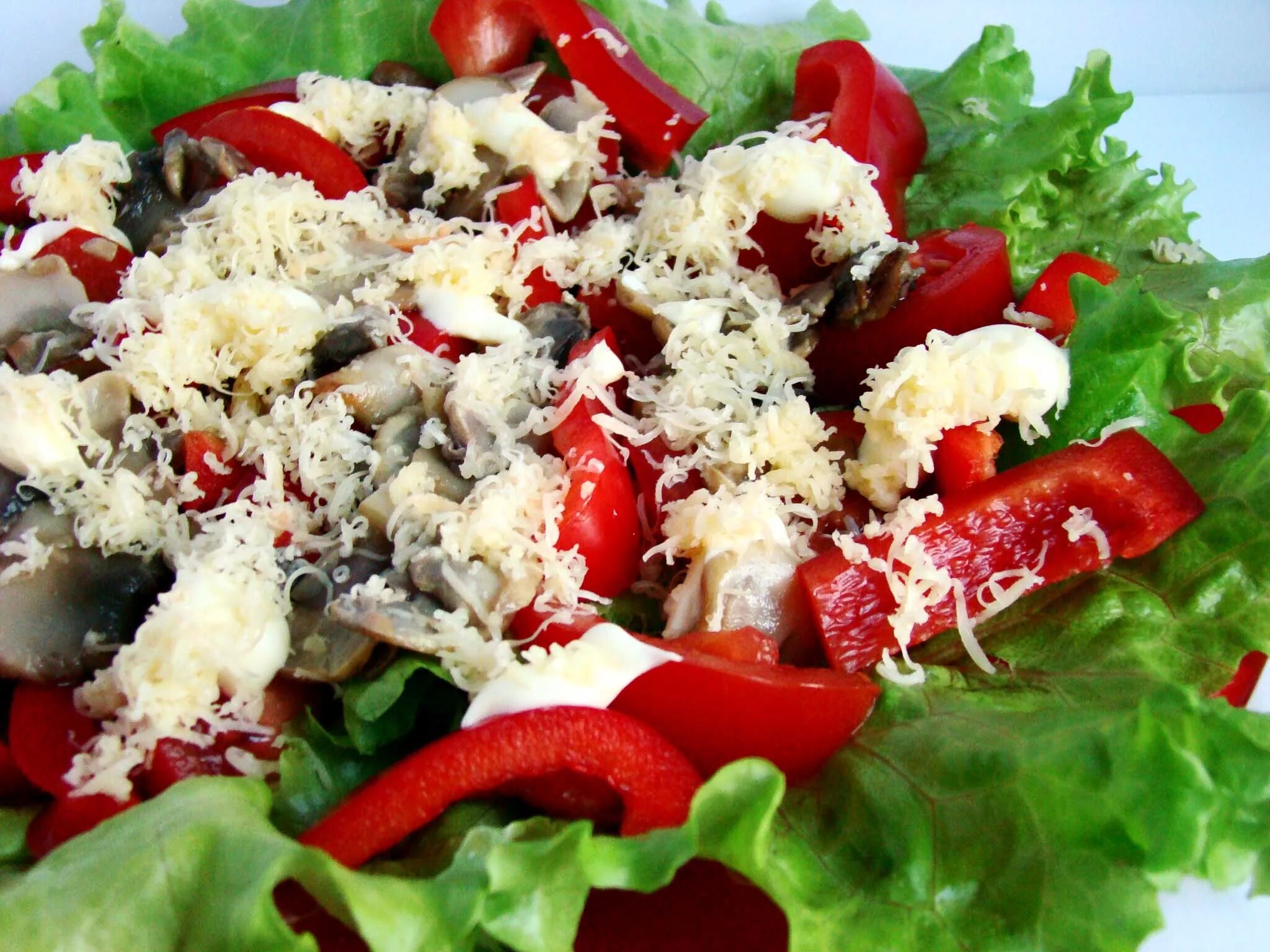 Салат. Салат с болгарским перцем. Красный салат. Салат с помидорами и грибами. Вкусный диетический салат рецепт