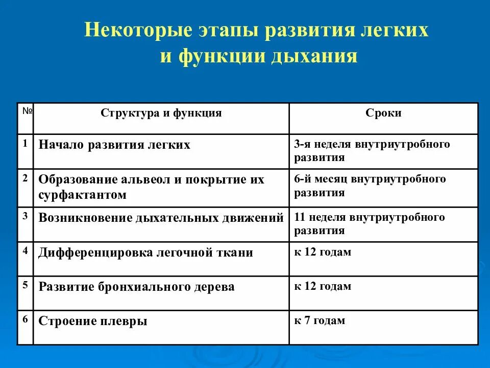 Возрастные особенности органов дыхания таблица. Строение и функции органов дыхания и их возрастные особенности. Строение органов дыхания, их возрастные особенности.. Возрастные особенности дыхательной системы.