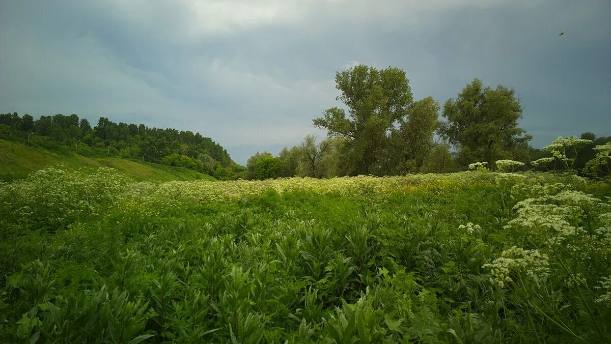 Красногорский район Алтайский край. Алтайский край Красногорский район с Красногорское. С тайна Красногорский район Алтайский край. Алтайский край Красногорский район село Макарьевское.