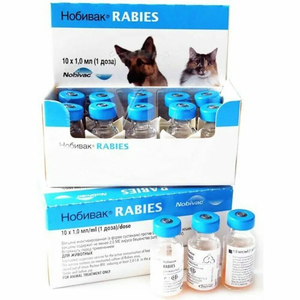 Нобивак рабиес. Вакцина Нобивак Rabies. Вакцина Нобивак Rabies для собак. Нобивак Rabies для кошек.