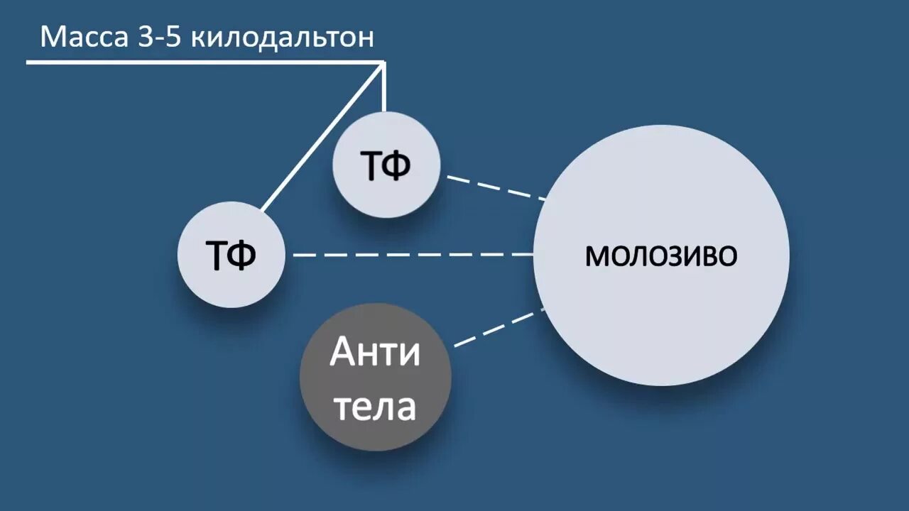 Трансфер фактор. Трансфер фактор молозиво. Трансфер фактор Классик. Трансфер фактор картинки.