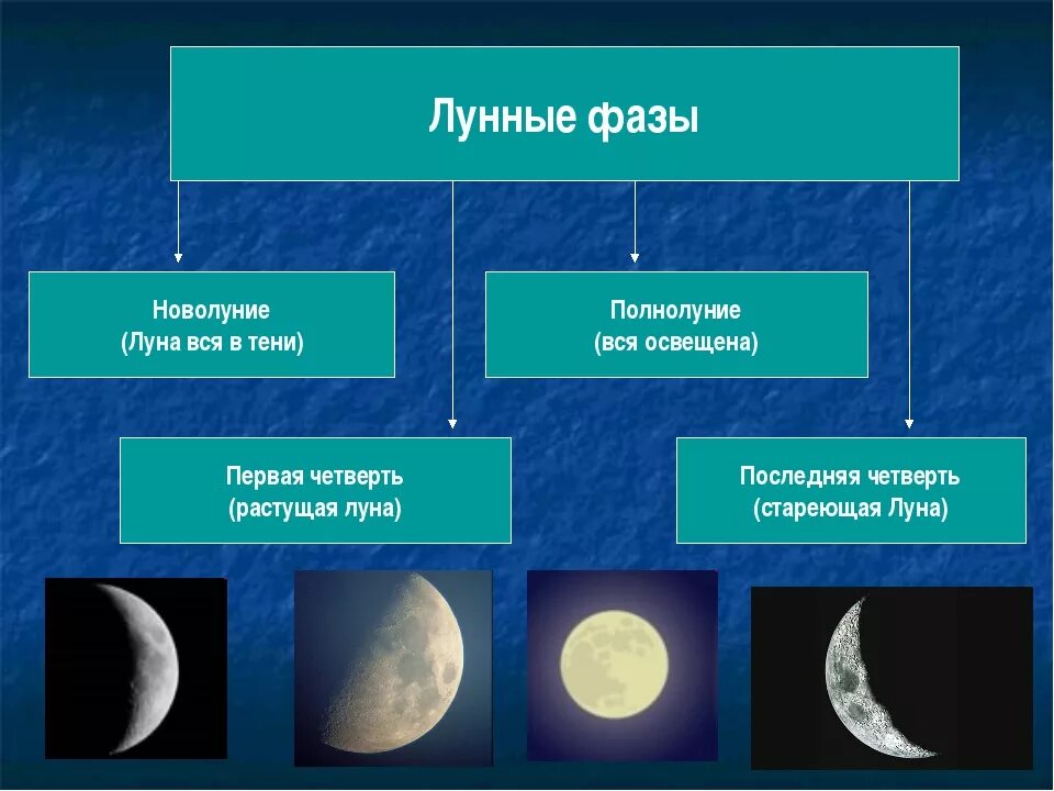 Фазы Луны. Растущая Луна первая фаза. Фазы Луны новолуние. Вид с Луны.