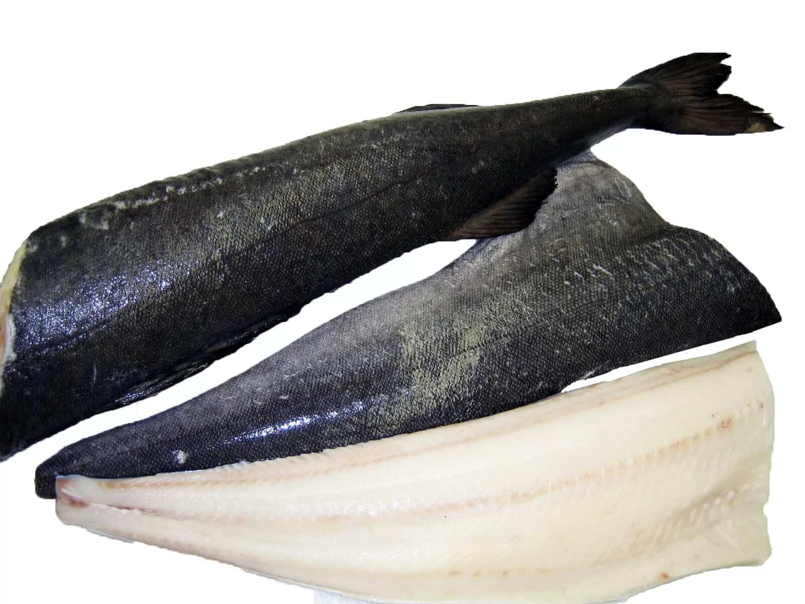 Рыба похожая на мясо. Угольная рыба Anoplopoma fimbria. Угольная треска. Рыба черная треска. Black Cod рыба.