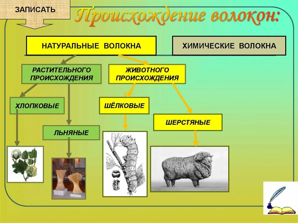 Производства натуральных волокон. Волокна животного происхождения. Природные волокна животного происхождения. Натуральные волокна животного происхождения 6 класс. Ткани растительного происхождения.