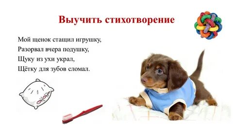 План к стихотворению мой щенок