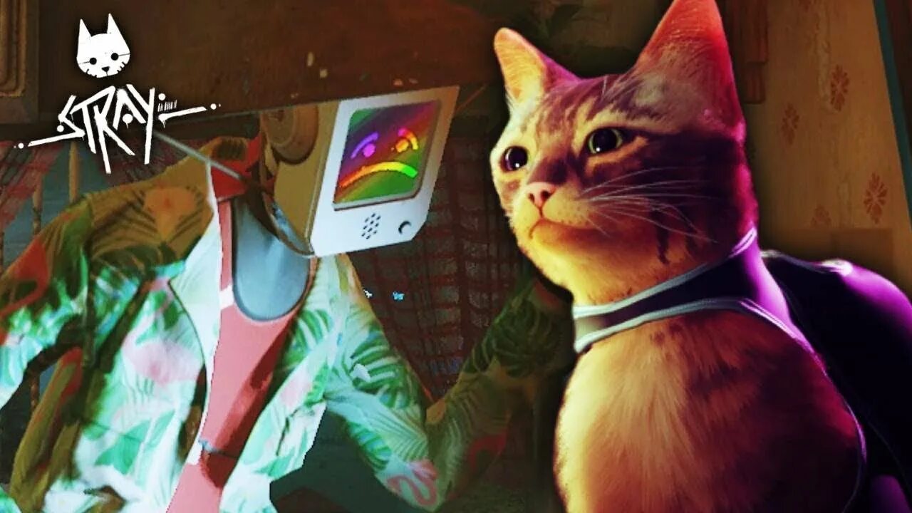 Кот в мире роботов игра. Stray кошачий симулятор. игра про кота. кот киберпанк. stray кот и робот.