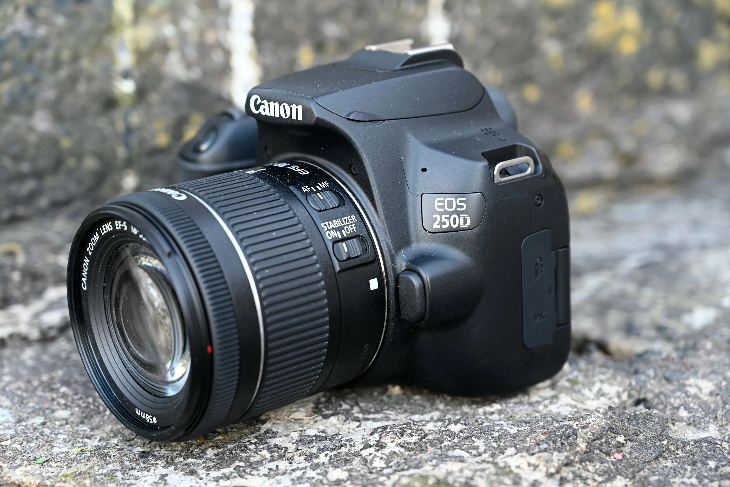 Санон. Canon EOS 250d. Canon EOS 250d Kit. Canon EOS 250d EF-S. Фотоаппарат Canon EOS 250d Kit.