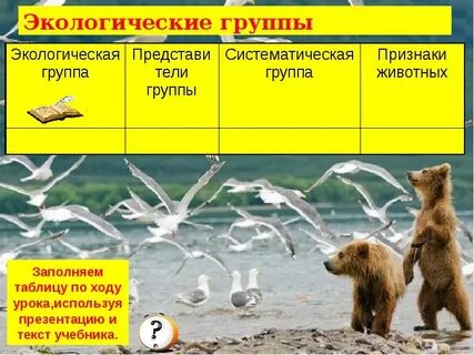 Экологические признаки это 5 класс биология