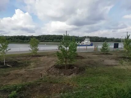 Посадка омск