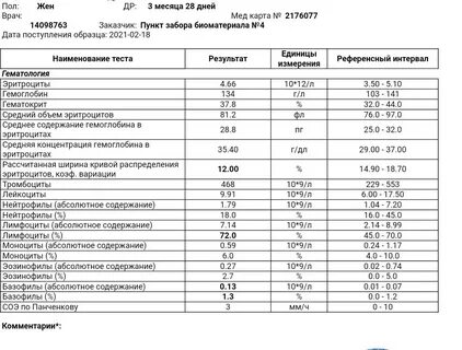 Сайт оак