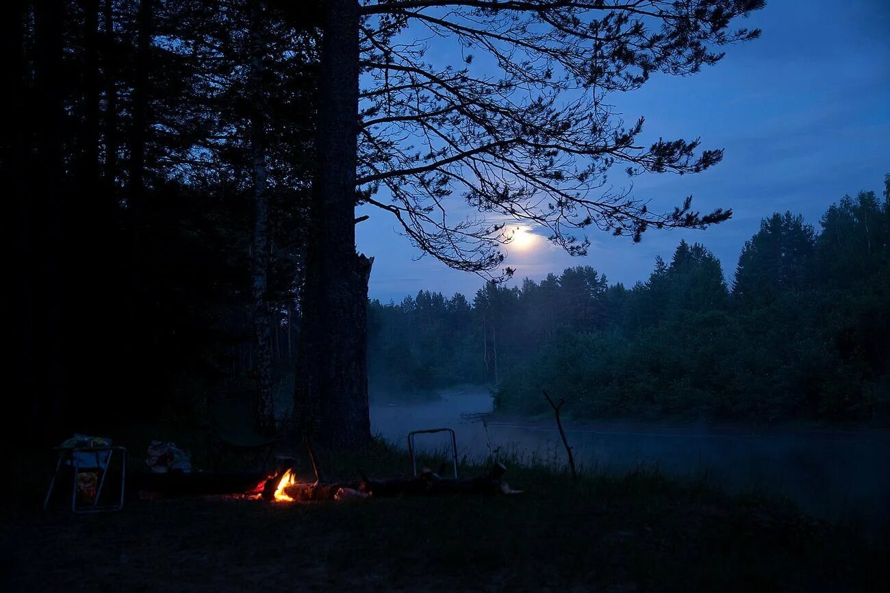 Ночью в лесу 3 класс. «Ночь в лесу». Ночной лес. Костёр в лесу ночью. Лагерь в лесу ночью.