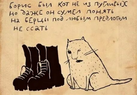 Быть котом не просто