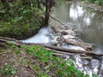 Незаконная вода