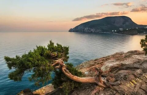 Ее гора ее море