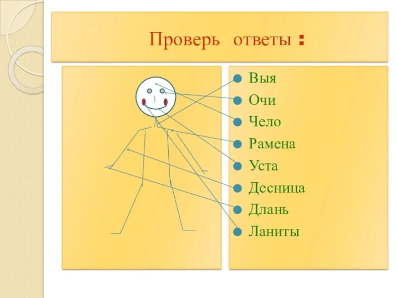 Око выя. Что такое Длань десница выя рамена. Очи чело ланиты. Длань десница уста это. 4 влюбч вый заботл вый