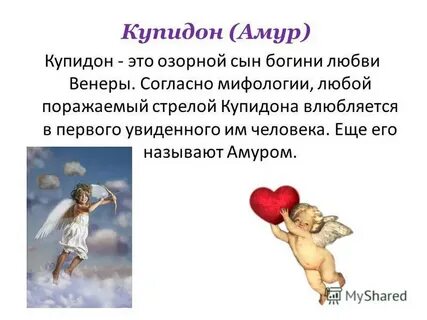Амур текст