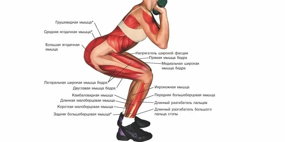 Присесть значение