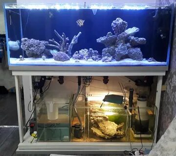 Kh в морском аквариуме
