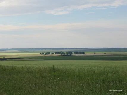 Верхнекардаильский новониколаевский волгоградская область