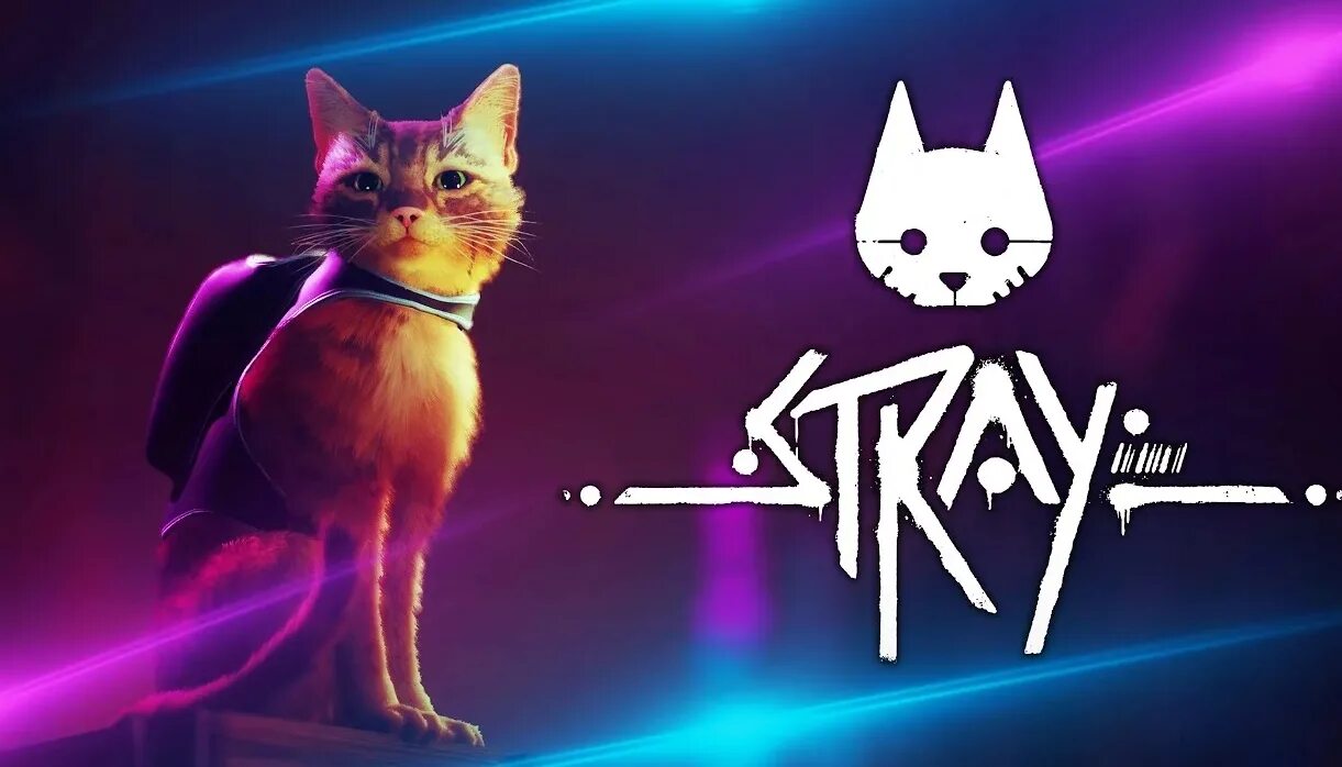 Стрэй игра. Stray игра 2021. СТРЕЙ игра 2022. Stray игра про кота. Cat nep игра