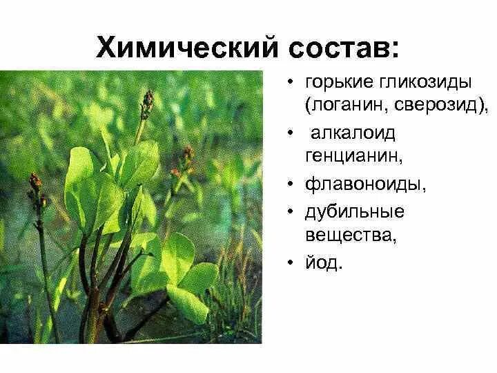 Растения содержащие гликозиды. Алкалоид генцианин. гликозиды в растениях. растения содержащие горькие гликозиды. лекарственные растения содержащие горькие гликозиды.