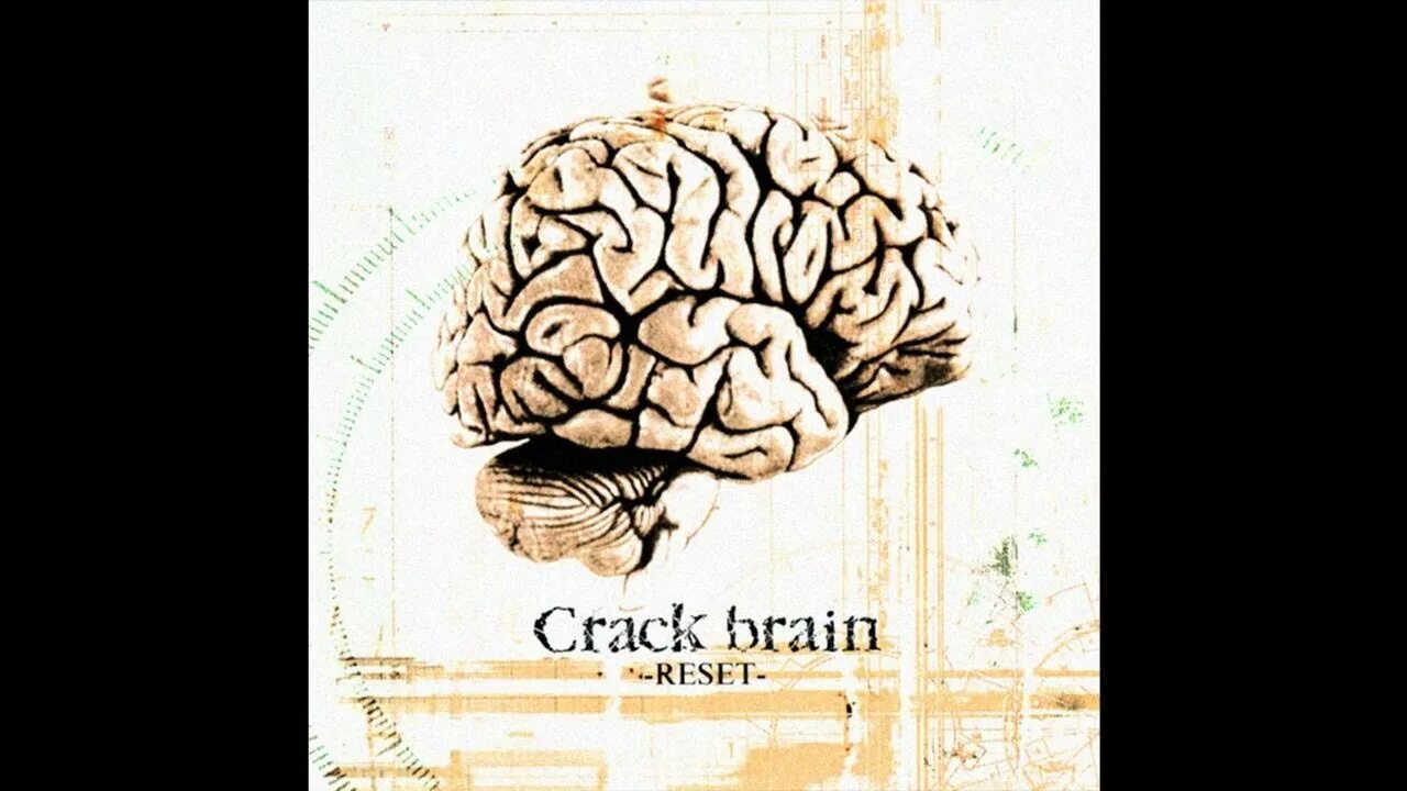 Lost brained. Brain Crew.