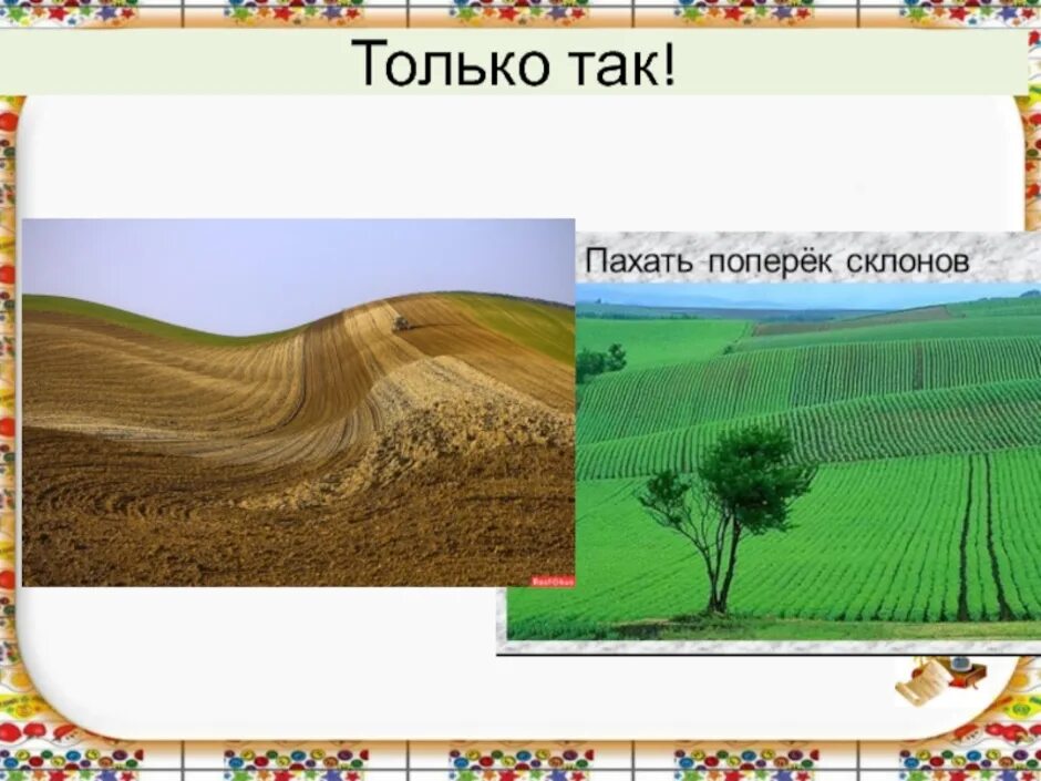 Поверхность нашего края 4 класс. Поверхность нашего края окружающий мир. Сообщение о поверхности своего края. Проект поверхность нашего края. Сведения поверхности края